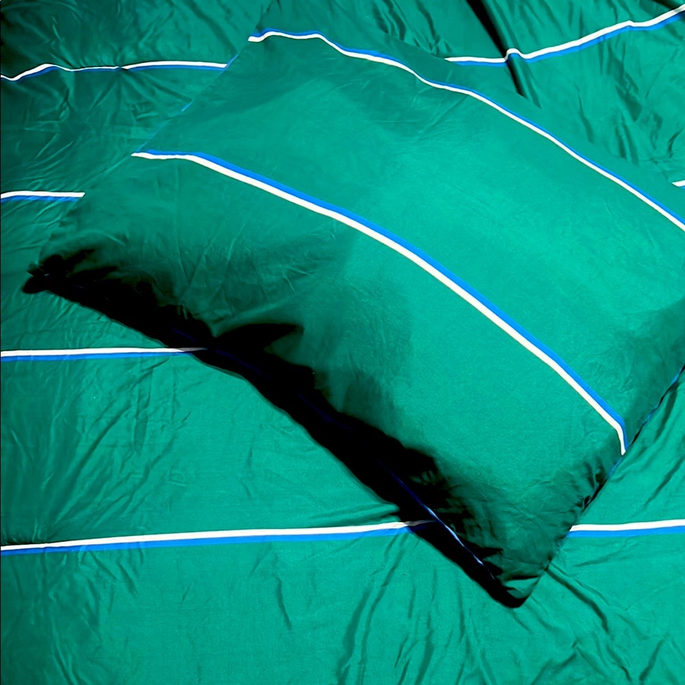 Izod Colin Green Microfiber Twin Striped Reversible Bedding Set.